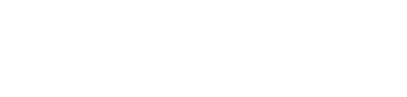 WANI RAHMAN & CO (NF 2385)